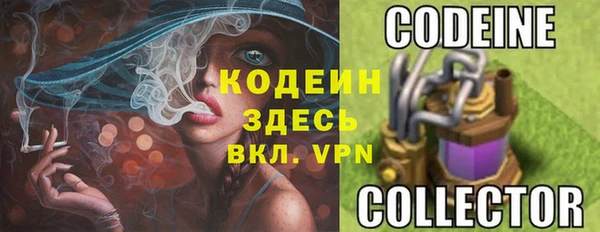 стаф Медногорск