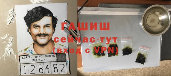 стаф Медногорск