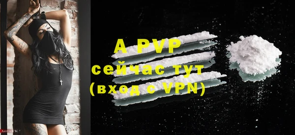 стаф Медногорск