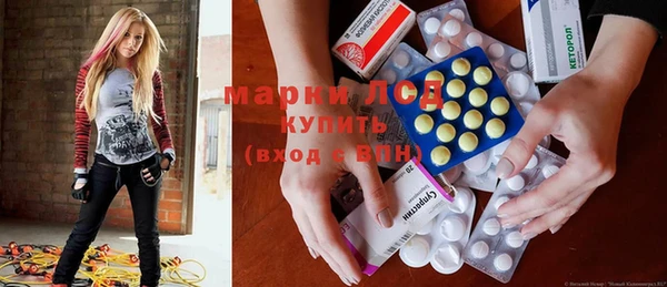 стаф Медногорск