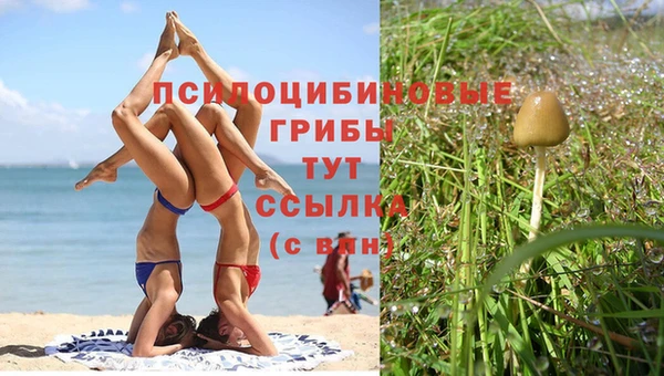 COCAINE Медвежьегорск